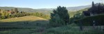 cropped-img_44401.jpg