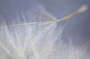 Weaving Light 11 (c) 2012 by Karen McRae