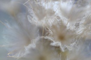 Weaving Light 6 (c) 2012 by Karen McRae
