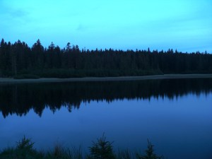 dark-lake