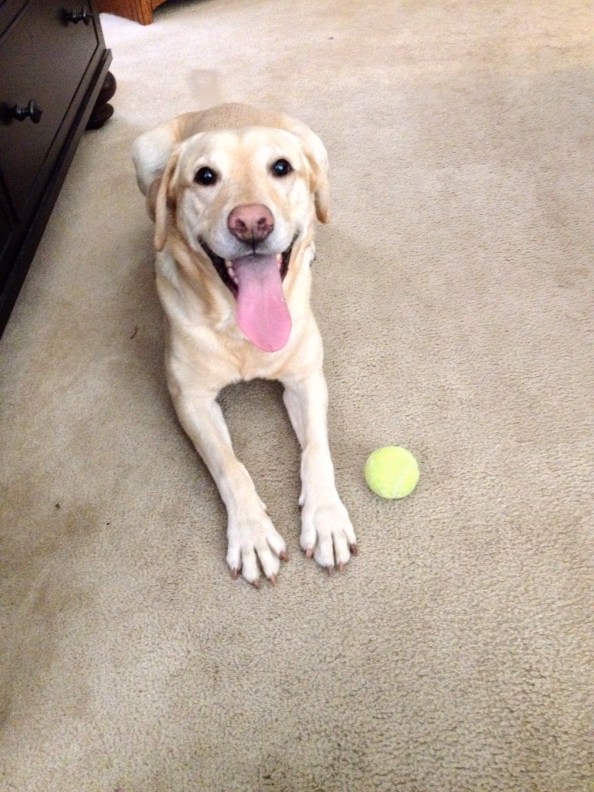 A ball is always close by.