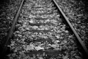 Due North © 2014 by Isotell
