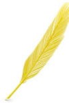golden feather 10