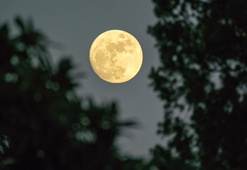 full moon clairmont courier