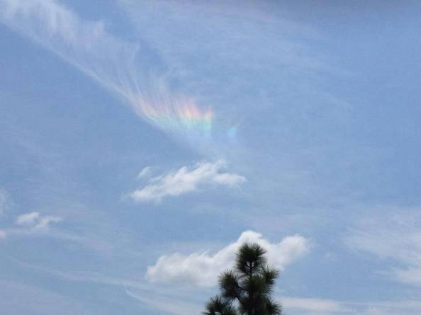 Photography © 2015 by Farnaz Mojab Soheili 