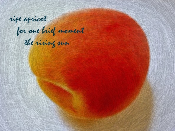 apricot haiga brush