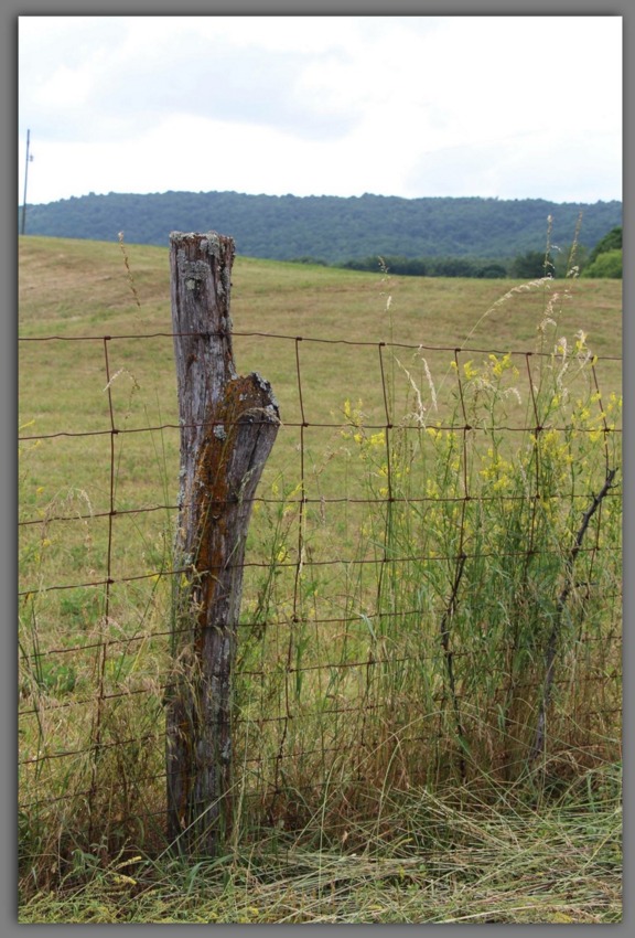 Fence ~ Photograph by Randy Baker (c) 2015
