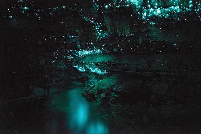 glowworms 2