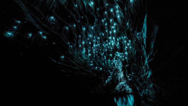 glowworms-at-waitomo