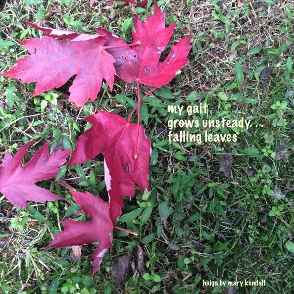 my gait grows unsteady