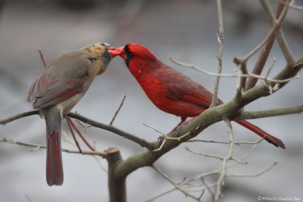 Woods Hole, MA - 3/30/14
