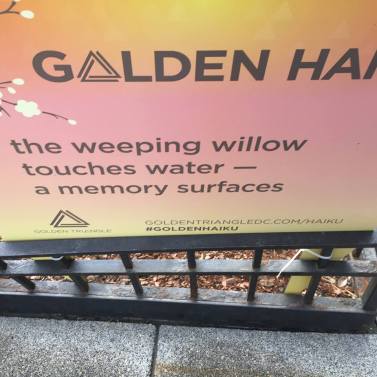 golden haiku my poem 2