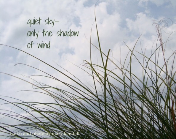 Published on Daily Haiga