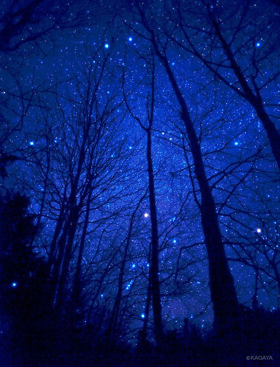 starry night sky kayaga