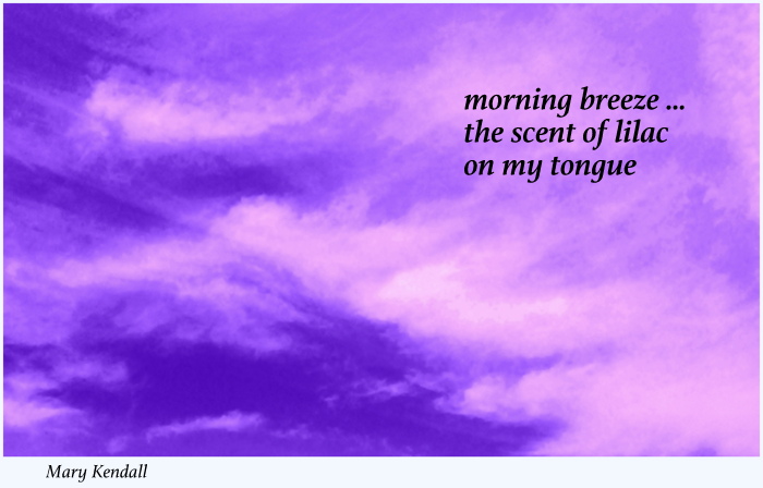 Lilac haiga