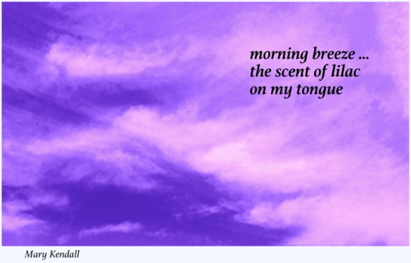 Lilac haiga