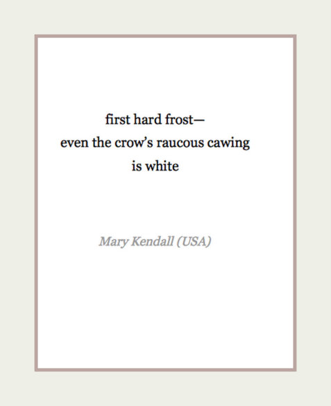 crow's raucous cawing haiku