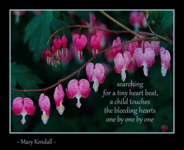 ~ Tanka by Mary Kendall ~ Photo ~ public domain