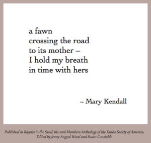 screen-shot-2016-12-15-at-11-27-59-pm