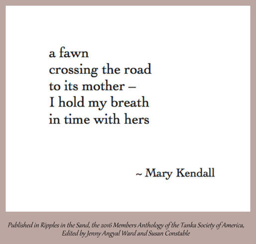 screen-shot-2016-12-15-at-11-27-59-pm