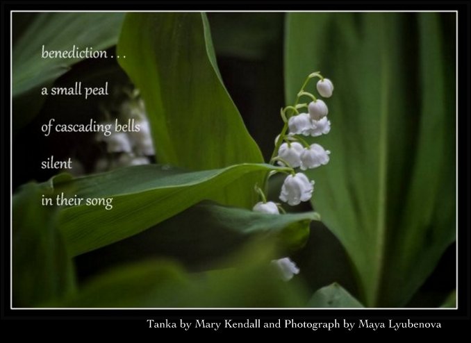 benediction tanka art