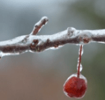 Screen Shot 2017-07-05 at 12.25.15 AM