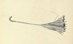 umbrella