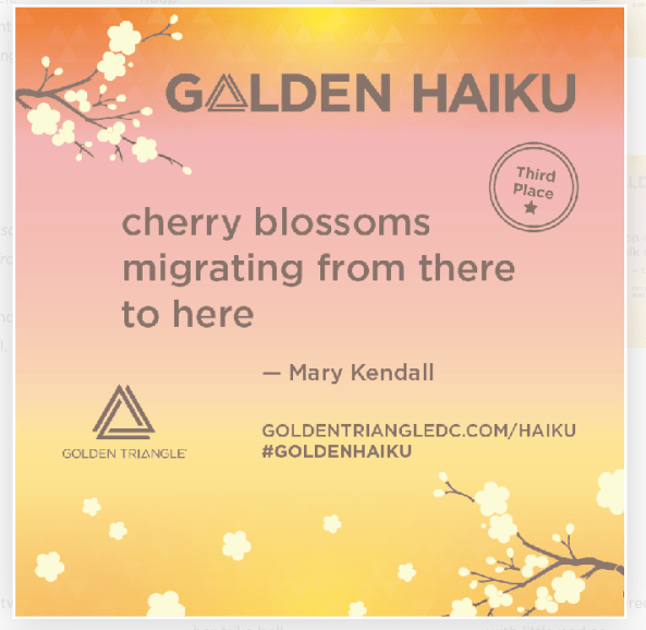 Golden Haiku Third Place Winner