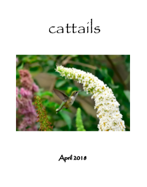 Screen Shot 2018-04-04 at 1.15.32 PM