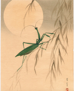 Screen Shot 2018-09-28 at 1.11.59 PM