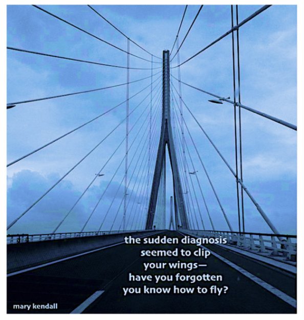 the sudden diagnosis haiga