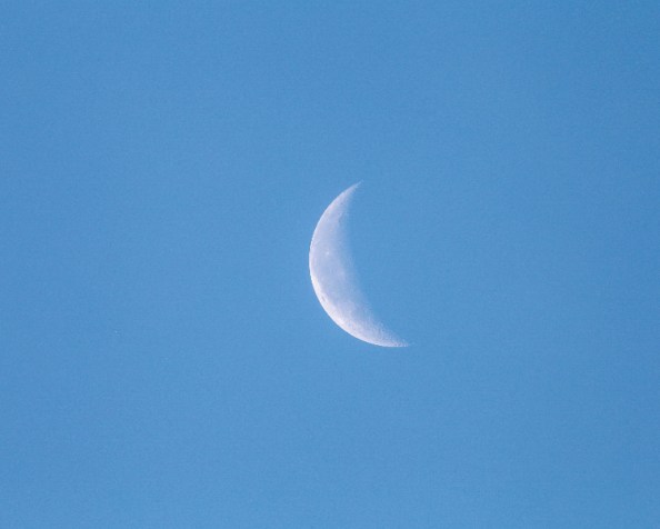 Shadow…(haiku/senryu)