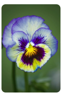 Screen Shot 2022-07-28 at 5.48.17 PM